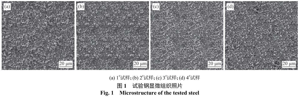 1692090046351458.jpg t1.jpg