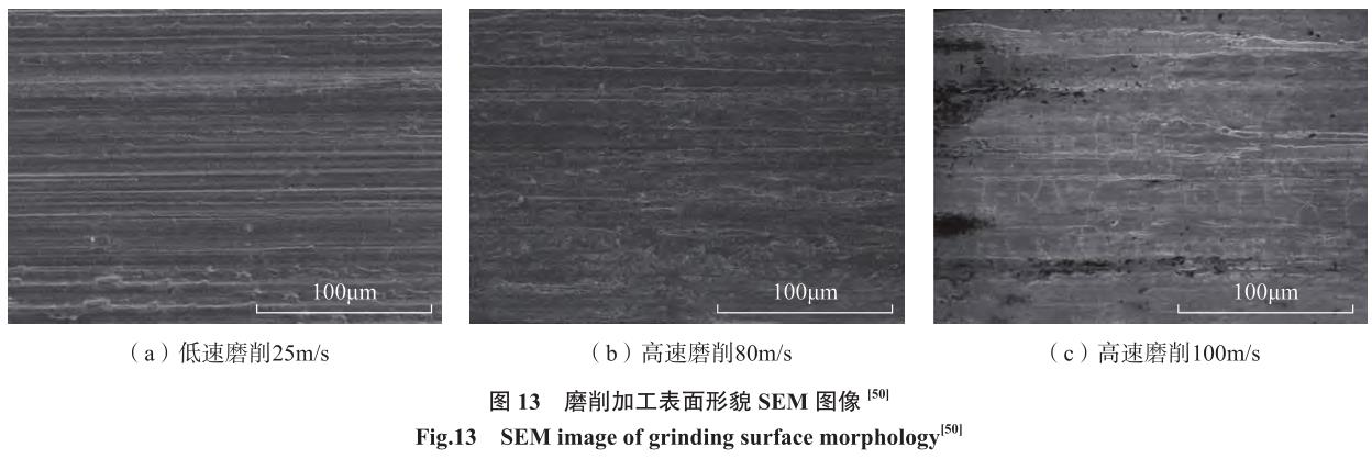 1692266055885971.jpg t13.jpg